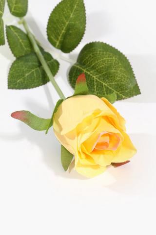Rose Single Stem, 60cm