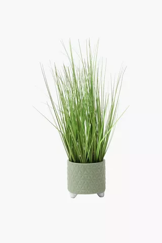 Potted Grass, 11x48cm