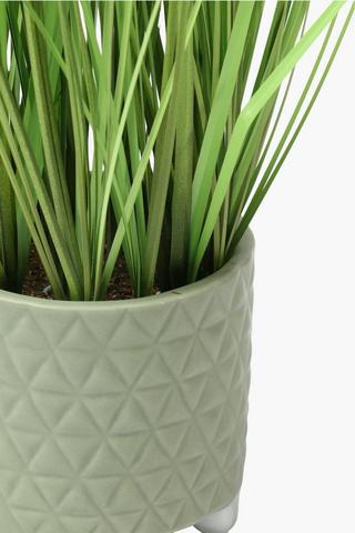 Potted Grass, 11x48cm