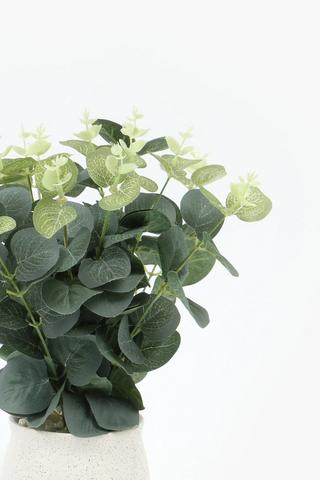 Gum Tree Plant, 38cm