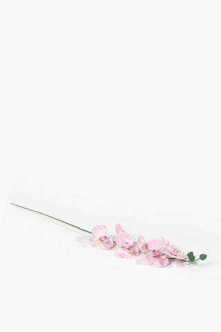 Orchid Single Stem, 65cm