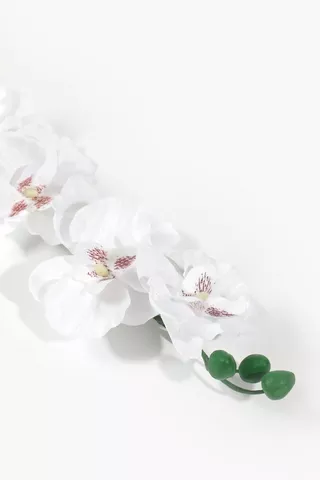Orchid Single Stem, 65cm