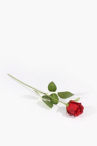 Rose Single Stem, 60cm