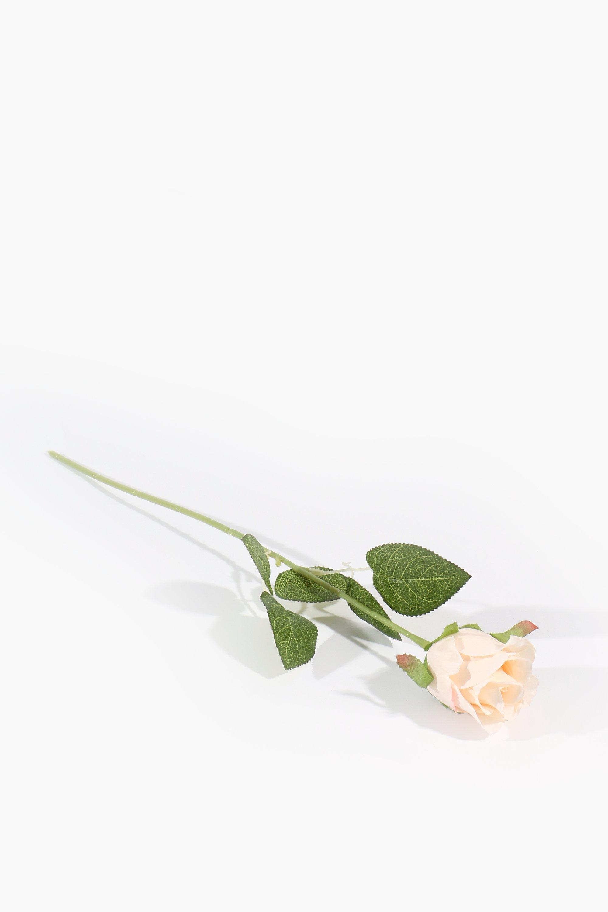 Rose Single Stem, 60cm