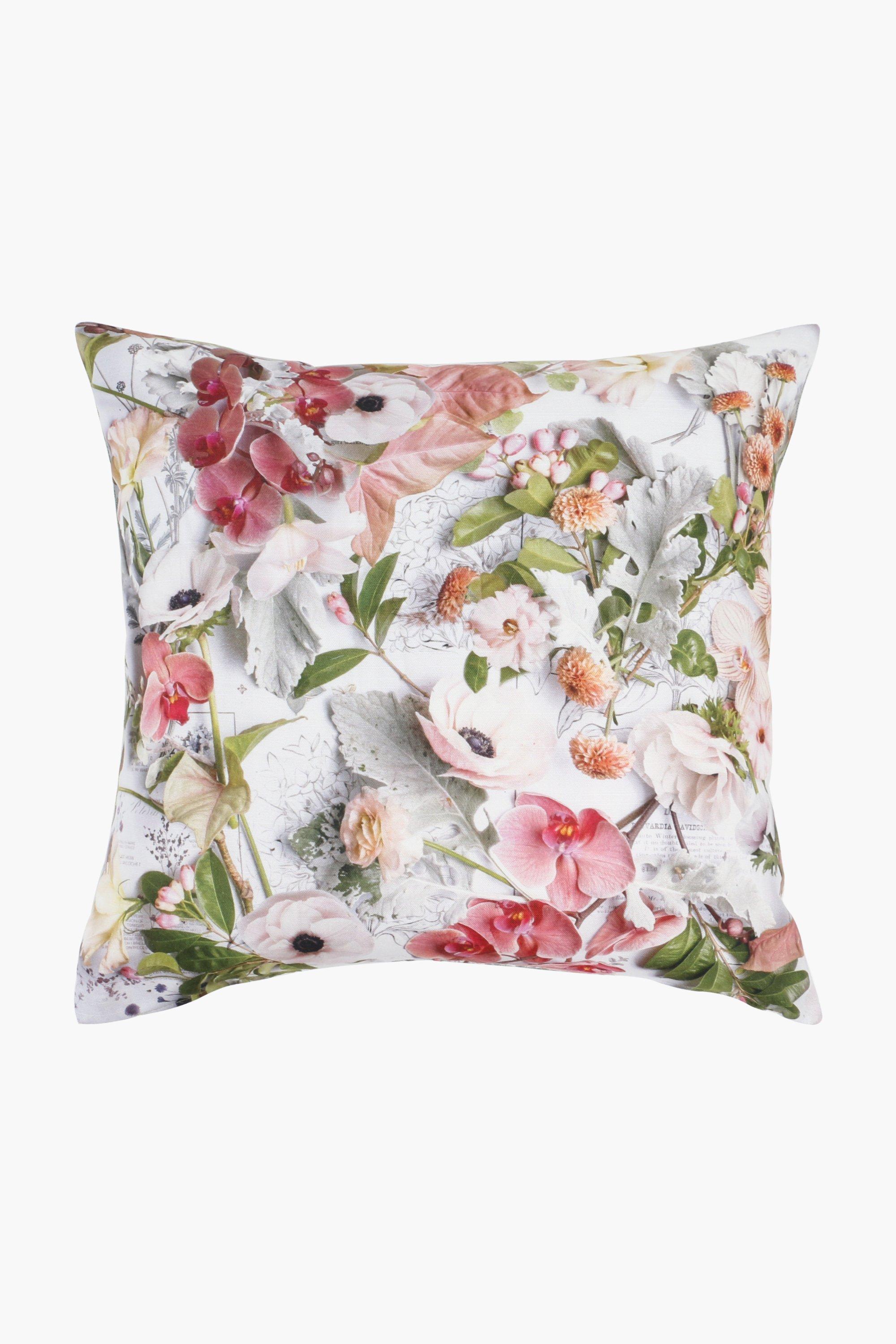 Printed Sugar Bird Photographic Scatter Cushion, 50x50cm