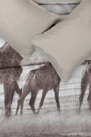 Soft Touch Photographic Giraffe Herd Comforter Set