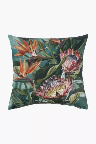 Printed Cardinal Protea Scatter Cushion, 50x50cm