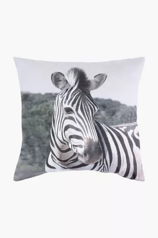 Printed Zebra Scatter Cushion, 50x50cm