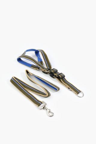 Pet Leash And Harness Extra Large