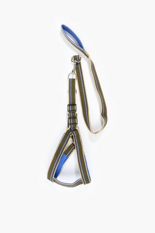 Pet Leash And Harness Extra Large