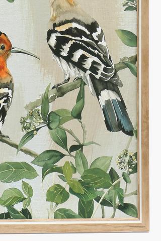 Framed Hoopoe Bird, 30x40cm