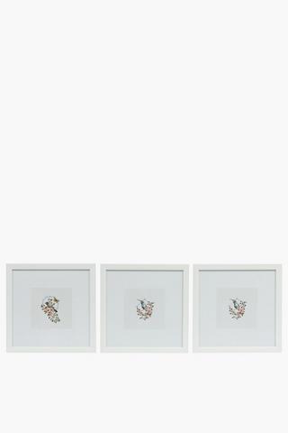 3 Piece Starling Birds, 30x30cm