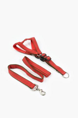 Pet Leash And Harness Extra Large