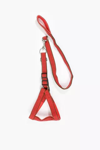 Pet Leash And Harness Extra Large