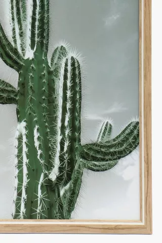 Framed Cactus, 30x40cm