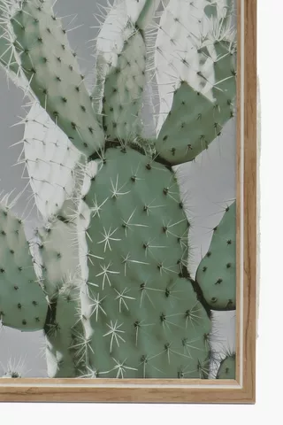 Framed Desert Cactus, 60x40cm