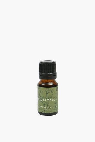 Eucalyptus Fragrance Oil, 10ml