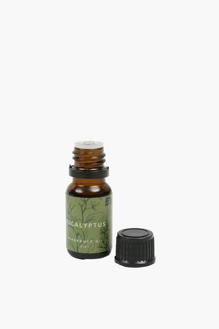 Eucalyptus Fragrance Oil, 10ml