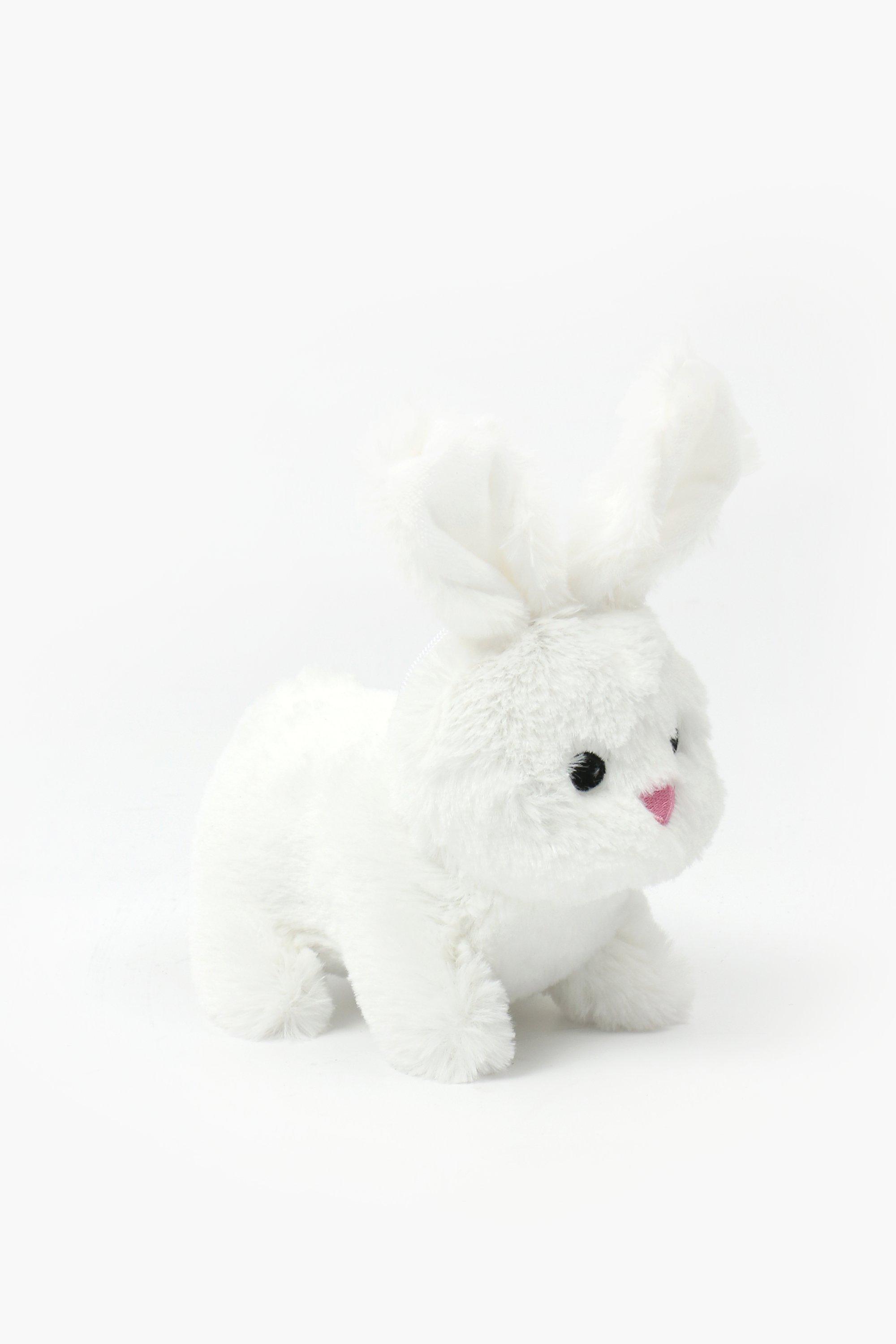 Mini Bunny