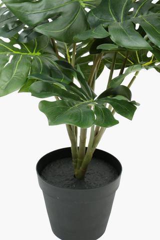 Potted Monstera Plant, 58cm