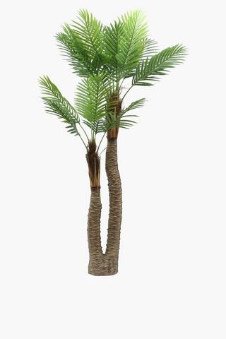 Potless Palmtree, 160cm