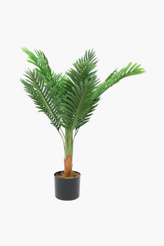 Potted Palm Tree, 90cm