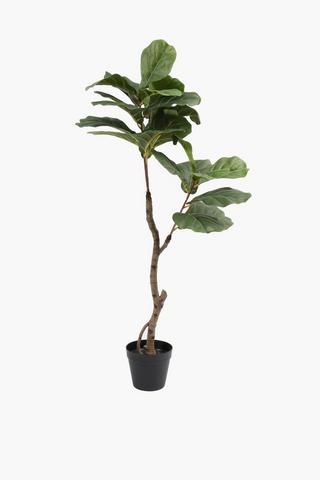 Fiddle Leaf Tree, 110cm