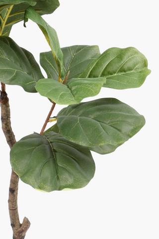 Fiddle Leaf Tree, 110cm