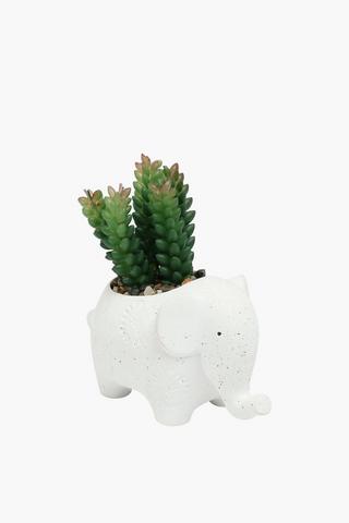 Ellie Potted Succulent, 8x14cm