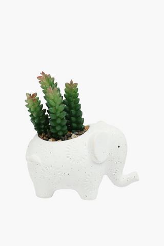 Ellie Potted Succulent, 8x14cm