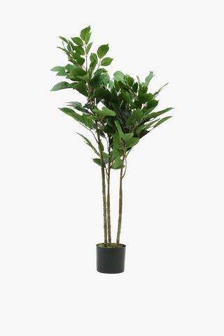 Evergreen Tree, 120cm