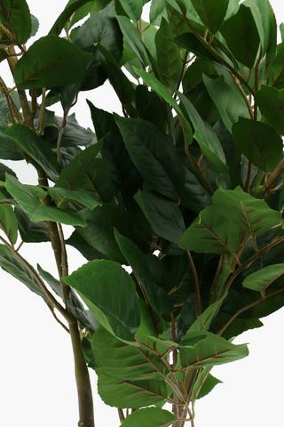 Evergreen Tree, 120cm