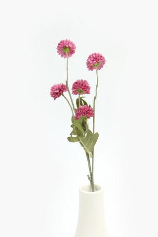 Dandy Single Stem, 52cm