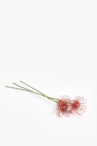 3 Pack Pincushion Single Stems, 50cm