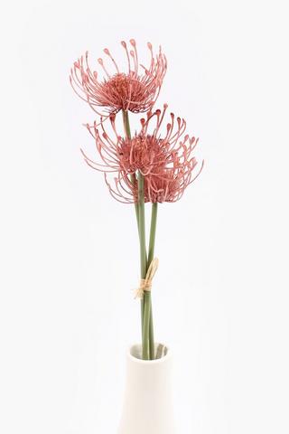 3 Pack Pincushion Single Stems, 50cm