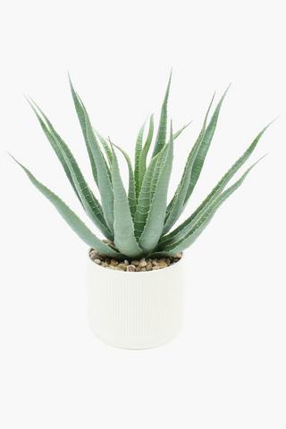 Ribbed Pot Agave, 25x32cm