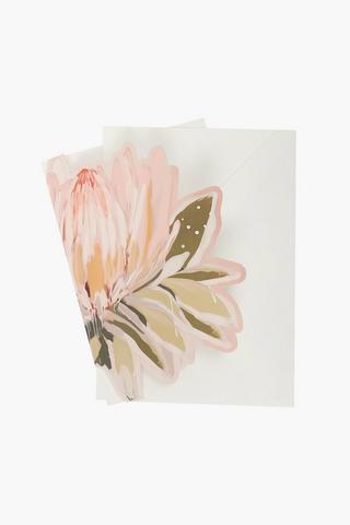 Amiel Laser Gift Card