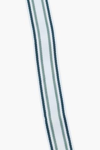 Greyland Stripe Ribbon