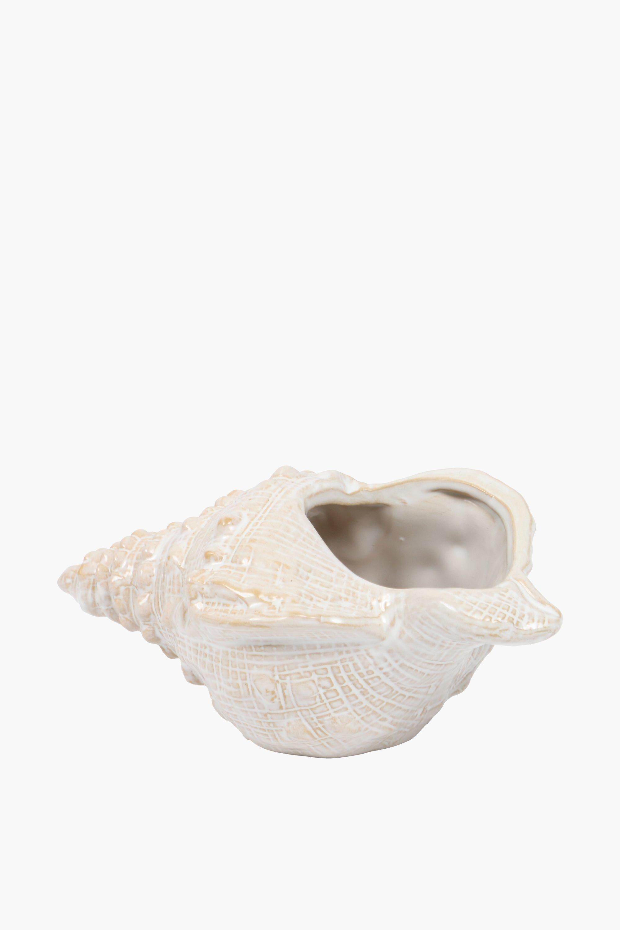 Seashell Ceramic Conch, 24x12cm