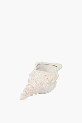 Seashell Ceramic Conch, 24x12cm