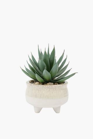 Potjie Pot Spike Plant, 18cm