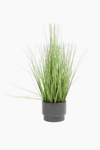 Step Potted Grass, 13x48cm