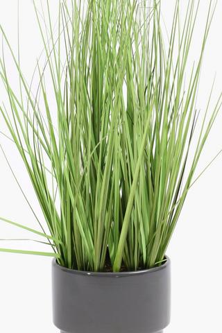 Step Potted Grass, 13x48cm