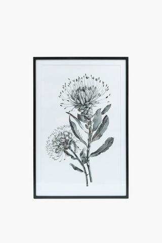 Framed Ditsy Protea, 60x90cm