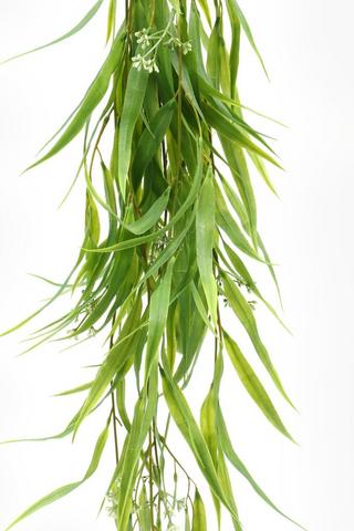 Eucalyptus Hanging Single Stem, 96cm