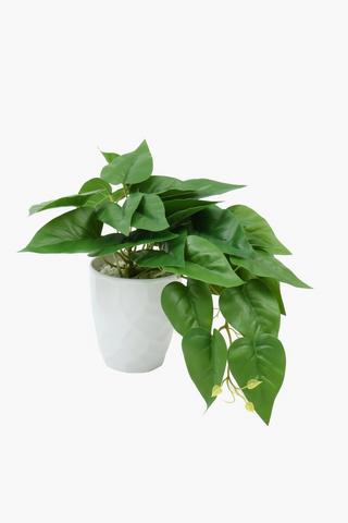 Crinkle Potted Vine, 28cm