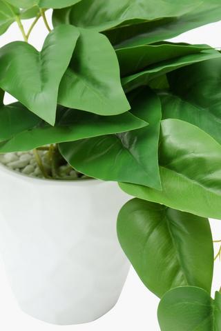 Crinkle Potted Vine, 28cm