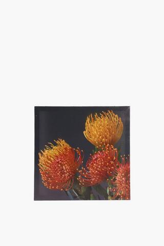 Pincushion Trio Canvas, 40x40cm
