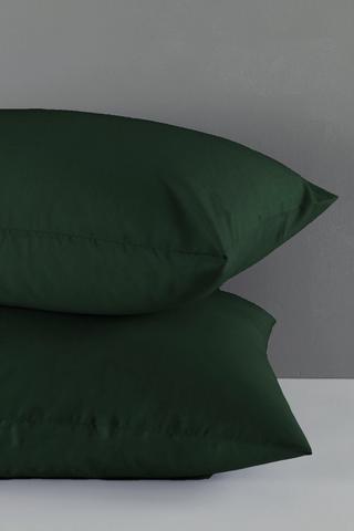 144 Thread Count Standard Pillowcase