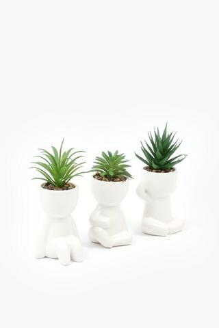 3 Piece Figure Agaves